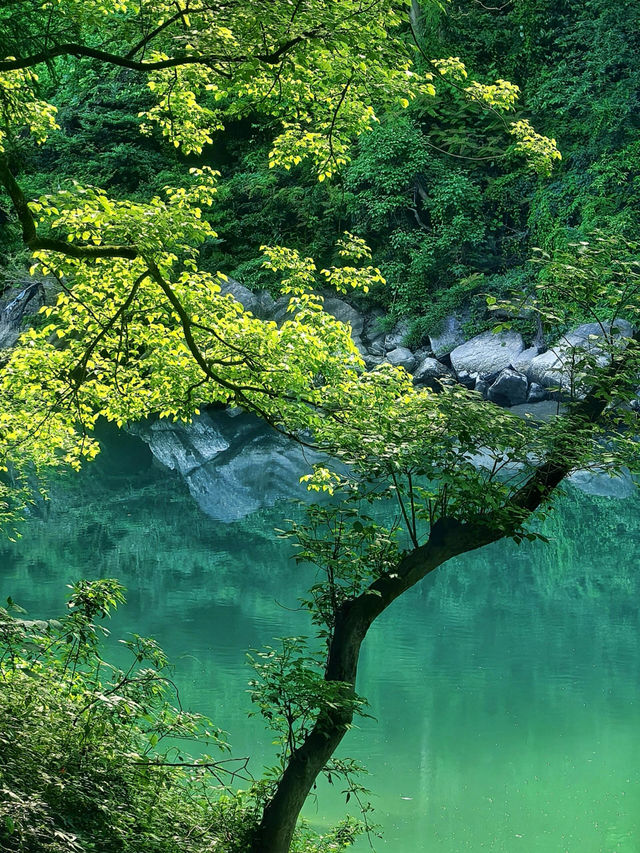 湘西人的私藏秘境這個「小九寨溝」也太絕了吧! 湘西人的私藏秘境這個「小九寨溝」也太絕了吧!