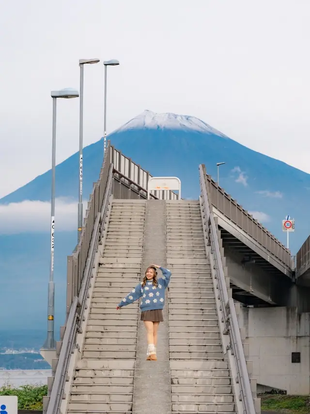 A Must-Visit in Shizuoka! The Healing Smile Moment Under Mount Fuji
