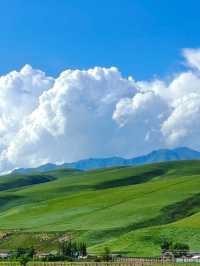 伊犁包車遊封神級體驗不看後悔