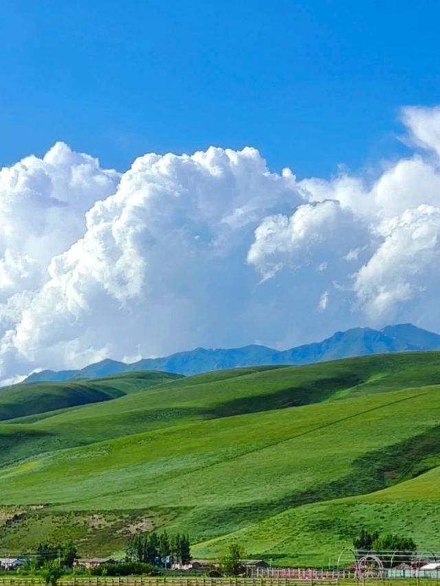 伊犁包車遊封神級體驗不看後悔 伊犁包車遊封神級體驗不看後悔