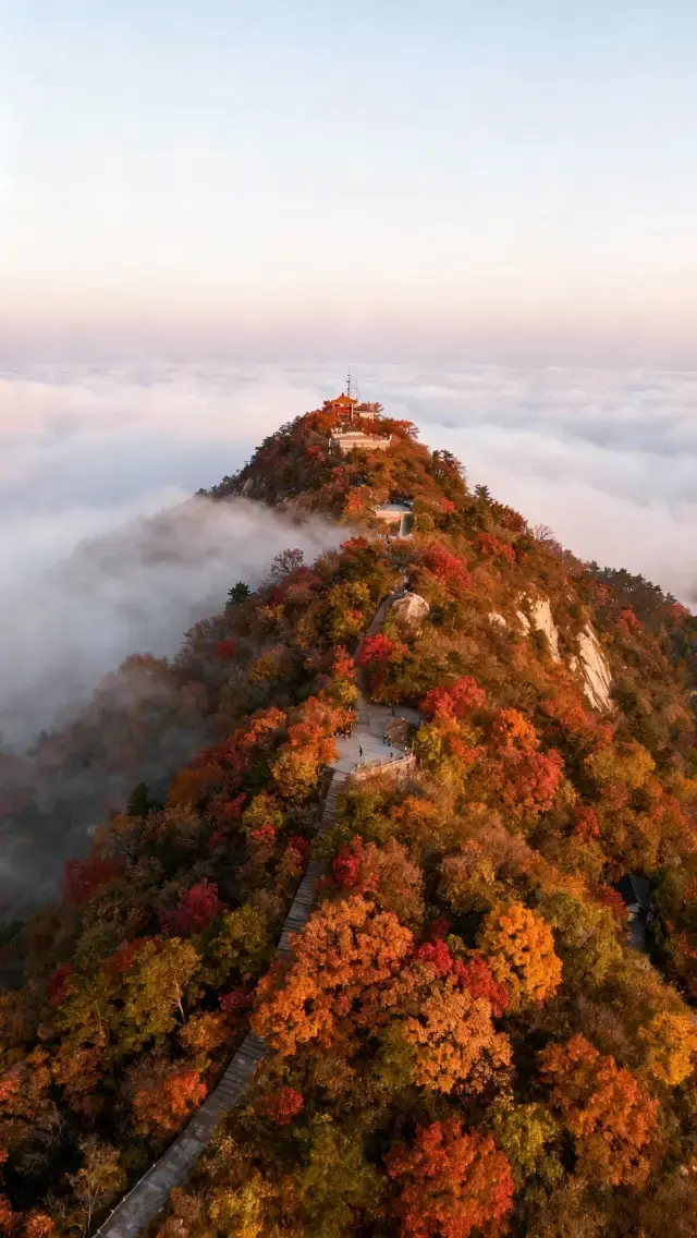 秋季信陽雞公山旅遊攻略：紅葉雲海與民國風情的秋日盛宴