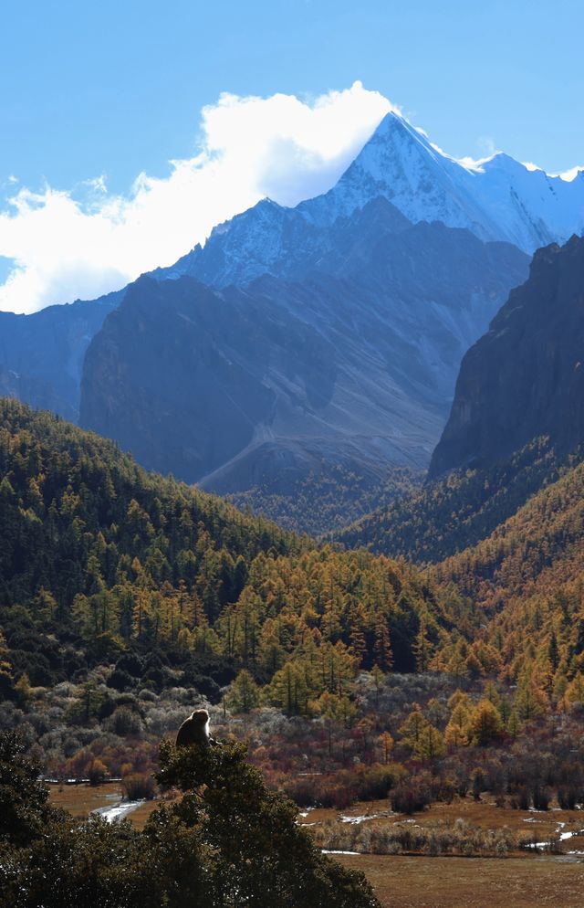 今又立冬，穿越冰峰遇見稻城亞丁