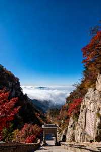 家庭遊好去處！山東日遊超高性價比