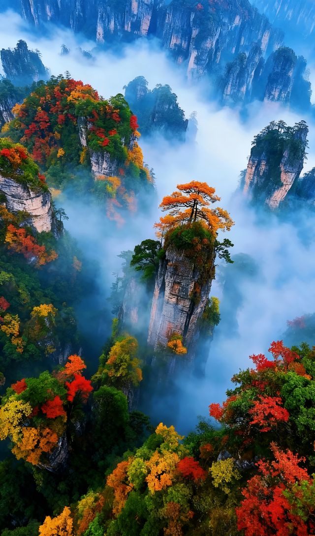 張家界1000元預算2天1晚精華遊 張家界1000元預算2天1晚精華遊