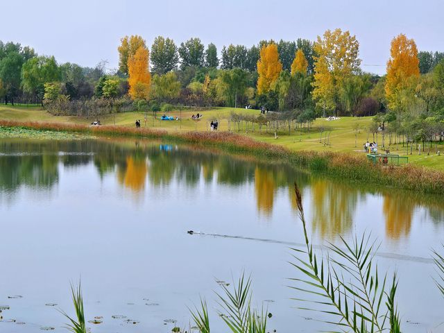 沣河梁家灘,最後的秋色 沣河梁家灘,最後的秋色
