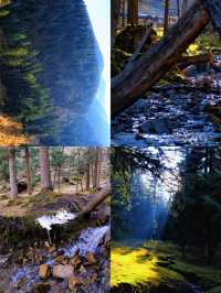 免費吸氧地！貴德江拉旅遊實用筆記