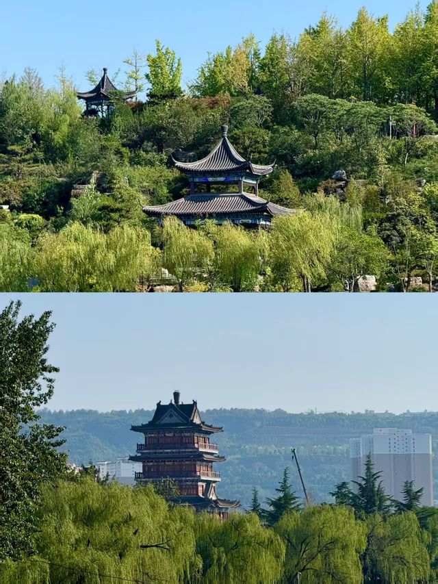 一個人坐火車漫遊渭南｜5.8元騎行解鎖非遺寶藏與市井煙火