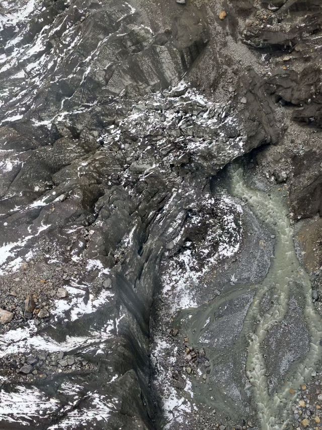 叢林界的一鯨落萬物生~ 叢林界的一鯨落萬物生~