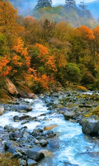 This hidden gem around Chengdu is so beautiful that I can't bear to reveal it!