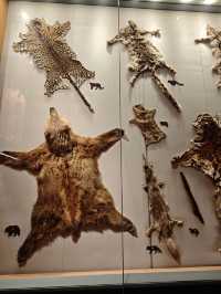 我認證過的全國最好的自然博物館