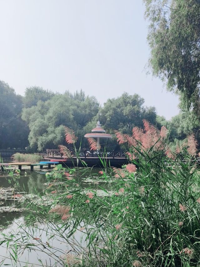 瀋陽Citywalk|年輕人的潮玩指南 瀋陽Citywalk|年輕人的潮玩指南