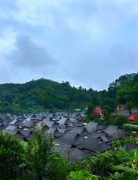 北回歸線的綠洲上,邂逅茶香與咖啡香