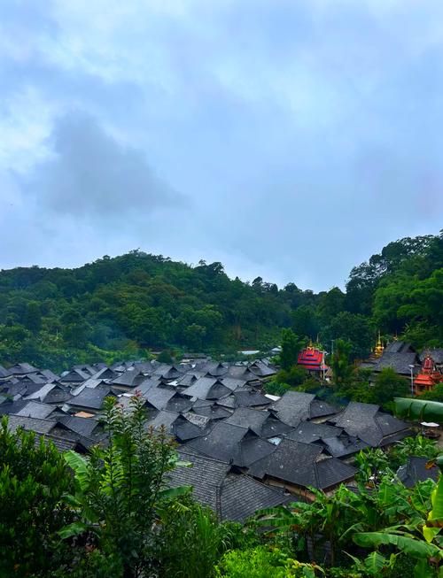 北回歸線的綠洲上,邂逅茶香與咖啡香 北回歸線的綠洲上,邂逅茶香與咖啡香