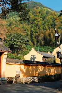 上海杭州周邊｜不在奈良，在諸暨