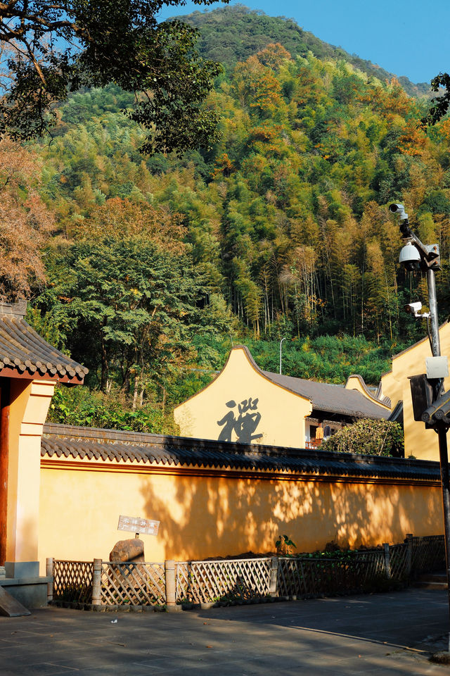 上海杭州周邊｜不在奈良，在諸暨