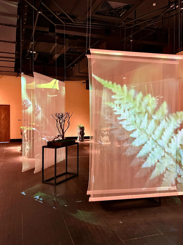 世遺景邁山博物館(景邁山遺產展示中心) 世遺景邁山博物館(景邁山遺產展示中心)