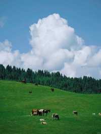 7天玩轉烏魯木齊等地高能攻略直擊你的心