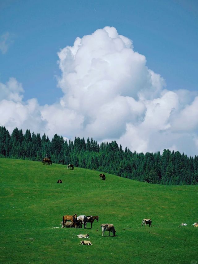 7天玩轉烏魯木齊等地高能攻略直擊你的心