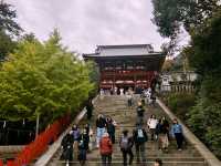 鶴岡八幡宮｜鎌倉最具代表性的神社散步路線 ⛩️🍁