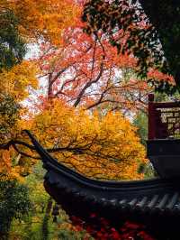 南京|沒有一座山比棲霞更懂秋天