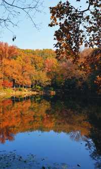 南京靈谷寺賞秋秘境