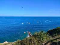 山海相擁的大鵬