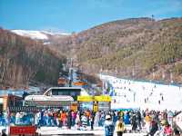 崇禮滑雪在雲頂,滑進滑出還看到了蘇翊鳴谷愛凌 滑雪度假的終極幸福是不用扛板暴走、不用趕接駁車,下