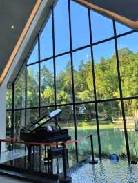 嶺南深秋別錯過！南崑竹海秘境慢享秋光