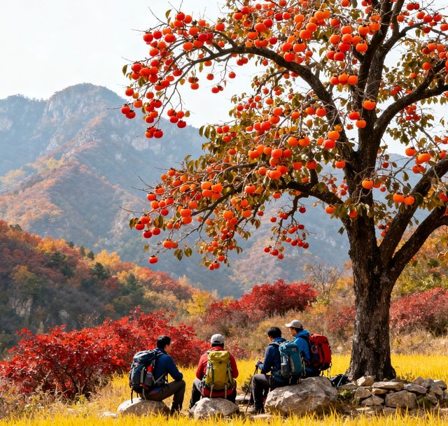 秋季徒步天花板｜黃陂屁屁溝，小眾秘境美到封神！