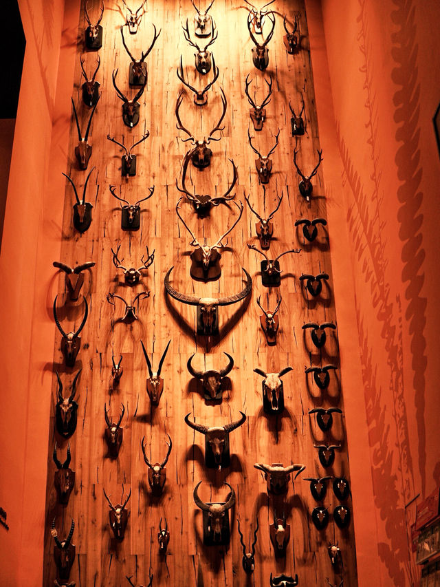 Самый красивый Шанхайский музей природы 🦖🇨🇳