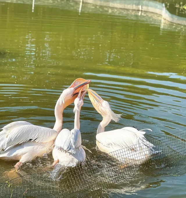 杭州灣濕地公園——承包我對秋冬的所有浪漫 杭州灣濕地公園——承包我對秋冬的所有浪漫