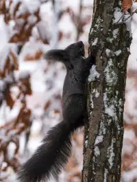 再吃，再吃就把你拍下來，放到網上去！