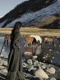 在雪山的凝視下,感受生命的奔放與靈性