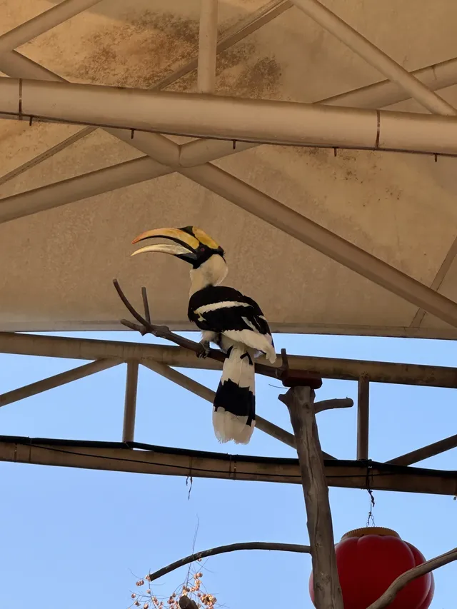 湖州龍之夢遛娃記|把假期過成沉浸式童話 湖州龍之夢遛娃記|把假期過成沉浸式童話