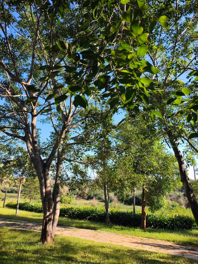 普洱避世秘境闖入宮崎駿的綠野仙蹤