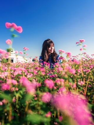 New Taipei's secret pink buckwheat flower sea is in full bloom! Snap beautiful photos anywhere you like