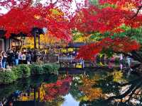 12月初實探｜無錫惠山古鎮，邂逅一場盛大的江南深秋