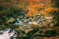 巴中秘境大揭秘竟藏著中國最美的山水畫卷