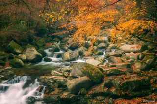 巴中秘境大揭秘竟藏著中國最美的山水畫卷