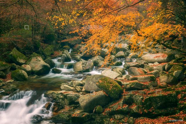 巴中秘境大揭秘竟藏著中國最美的山水畫卷