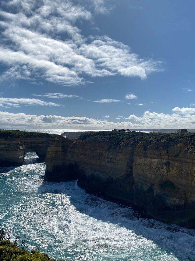 澳大利亞1日包車遊熱門景點全打卡