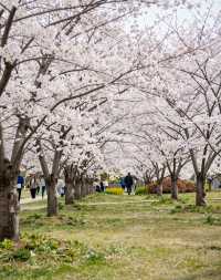 魔都版莫奈花園打卡|四季皆美,打卡不踩雷