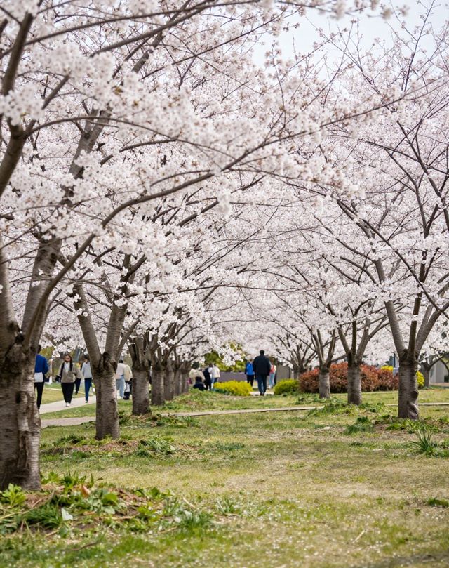魔都版莫奈花園打卡|四季皆美,打卡不踩雷 魔都版莫奈花園打卡|四季皆美,打卡不踩雷