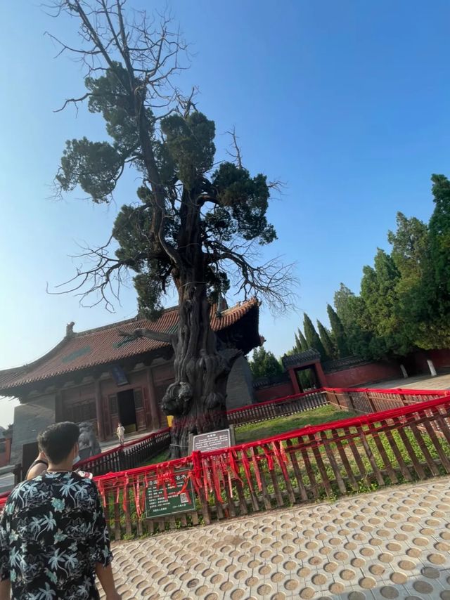 濟瀆廟：與千年水神對話的午後