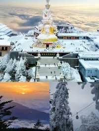 人生建議:一定要去一次峨眉山,看雲上金頂