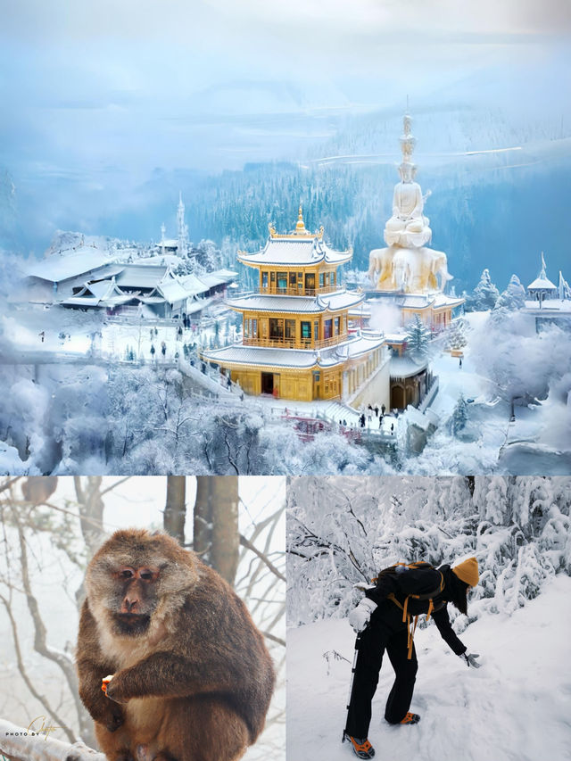 人生建議:一定要去一次峨眉山,看雲上金頂 人生建議:一定要去一次峨眉山,看雲上金頂