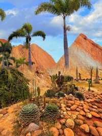 真不是國外 雲南建水竟然藏了個·小加州