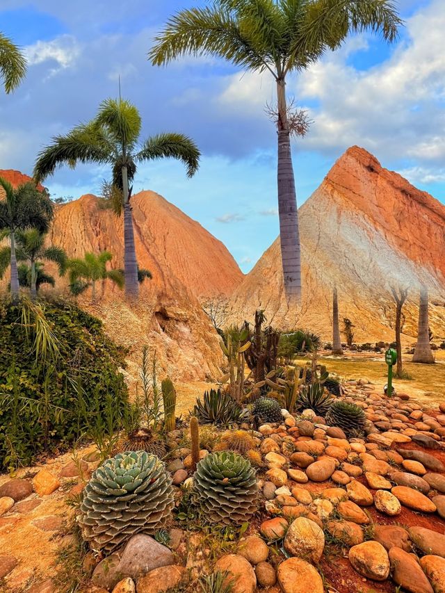 真不是國外 雲南建水竟然藏了個·小加州 真不是國外 雲南建水竟然藏了個·小加州