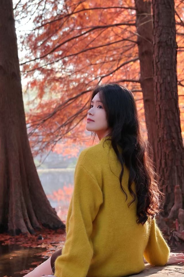 南京秋色天花板在這 南京秋色天花板在這