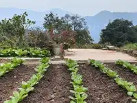 今日（12月4日）峨眉